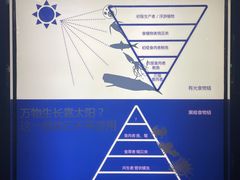 -同济大学四平路校区深海探索馆