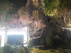 -无锡梅园公园