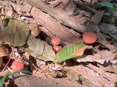 -蜀冈西峰生态公园