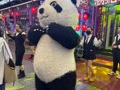 -喜鹊音乐酒馆(西街店)