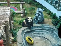 -大连森林动物园