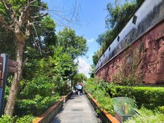 -广州神农草堂中医药博物馆