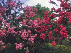 -杭州城北体育公园