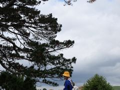 -霍比特人村