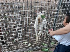 -厦门悦华酒店