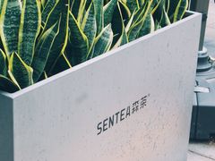 -SENTEA森茶(麦地丽日店)