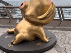 -星光大道