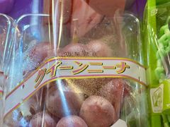 -油麻地果栏