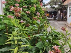 -吃货私房菜(丽江束河古镇店)