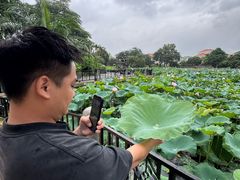 -晓港公园