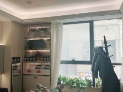 -碧莲盛·不剃发植发