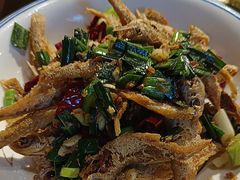 -印象鲵宴·张家界地标美食名片(溪布街店)