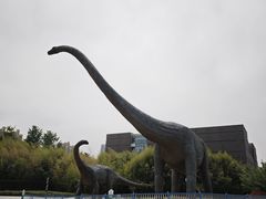 -安徽省地质博物馆