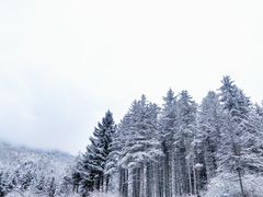 -硗碛藏寨·神木垒景区