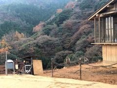 -岚山猴子公园