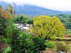 -塔川景区