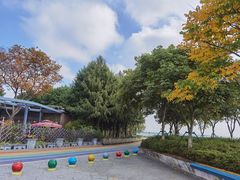 -贡湖湾湿地公园