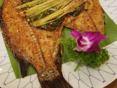 -紫滇源云南生态菜(丹凤街店)