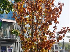 -大族广场Mall&More