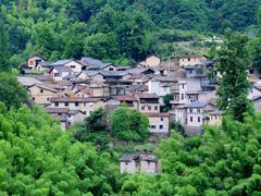 -杨家堂村