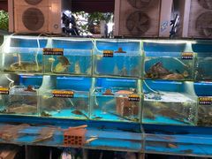 水产区-老宋家鱼馆(北滨路店)