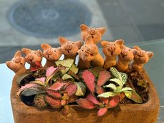 -WHEN PIGS FLY当猪飞
