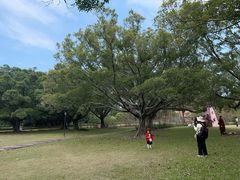 -南沙蒲洲花园