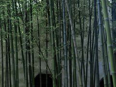 -沧浪亭
