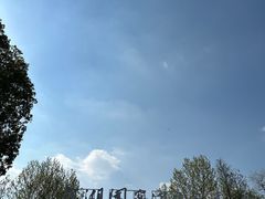 -洋湖国家湿地公园