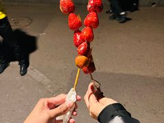 -便宜坊烤鸭店(玉蜓桥店)