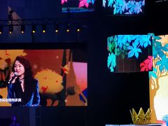 -成都金融城演艺中心