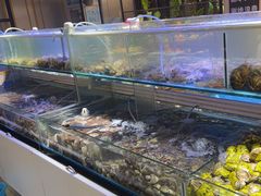-四海蒸鲜蒸汽海鲜自助(北戴河店)