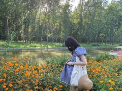 -合肥滨湖国家森林公园