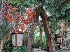 -悦隆庄温泉度假酒店