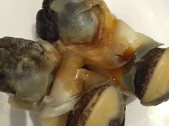 -元气寿司(金光华店)