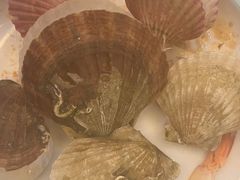 -四海蒸鲜蒸汽海鲜自助(北戴河店)