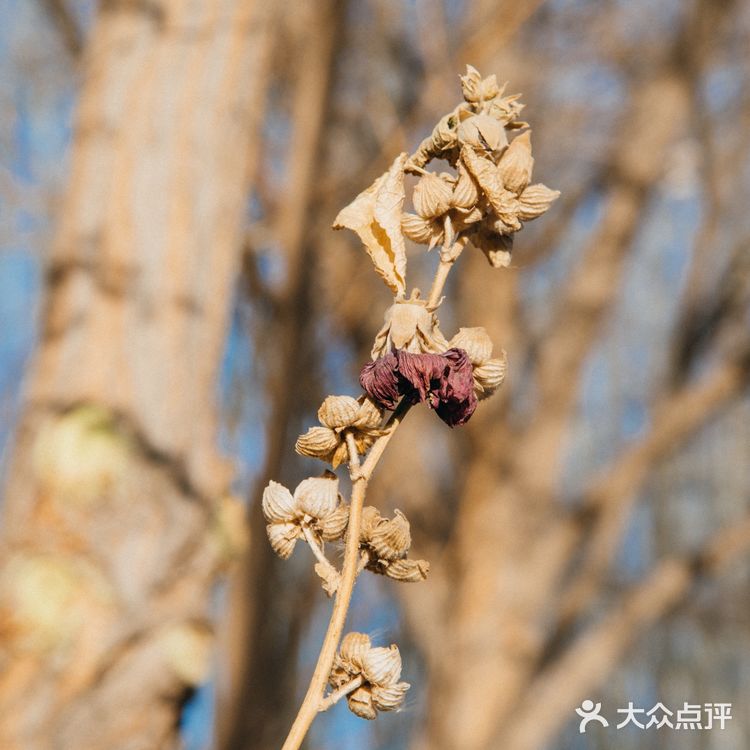 每次回家过年团聚，只要有他就是各种拍拍拍