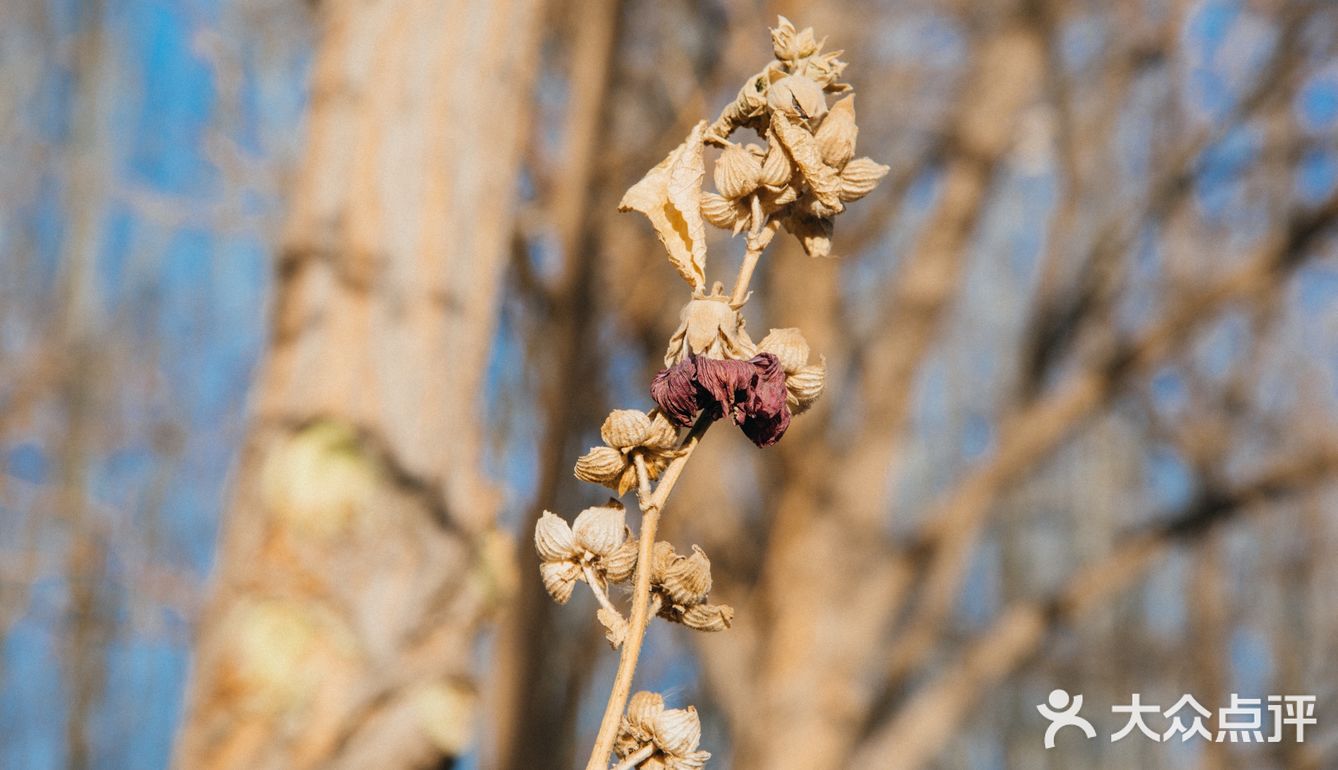 每次回家过年团聚，只要有他就是各种拍拍拍