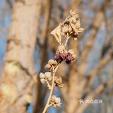 每次回家过年团聚，只要有他就是各种拍拍拍