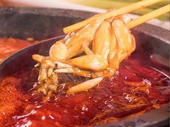 -销魂美蛙鱼头火锅(上海首店)