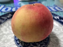 -南汇水蜜桃采摘(大团店)