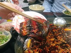 鳝鱼-星鸿社重庆老火锅