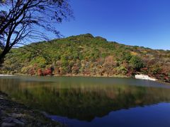 -龙道沟景区