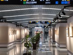 -石家庄正定国际机场-T2航站楼