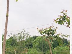 -三岔湖景区