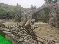 -宁波野生动物园