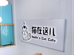 -猫在这儿猫咪咖啡馆·撸猫馆