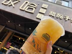 甜醅子绿茶-放哈·甜醅子奶茶创造者(正宁路店)