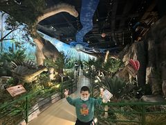 -陕西自然博物馆