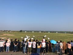 -盐城丹顶鹤湿地生态旅游区
